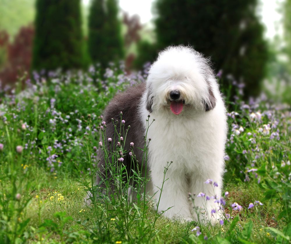 The Gossip Column: January 19, 2024